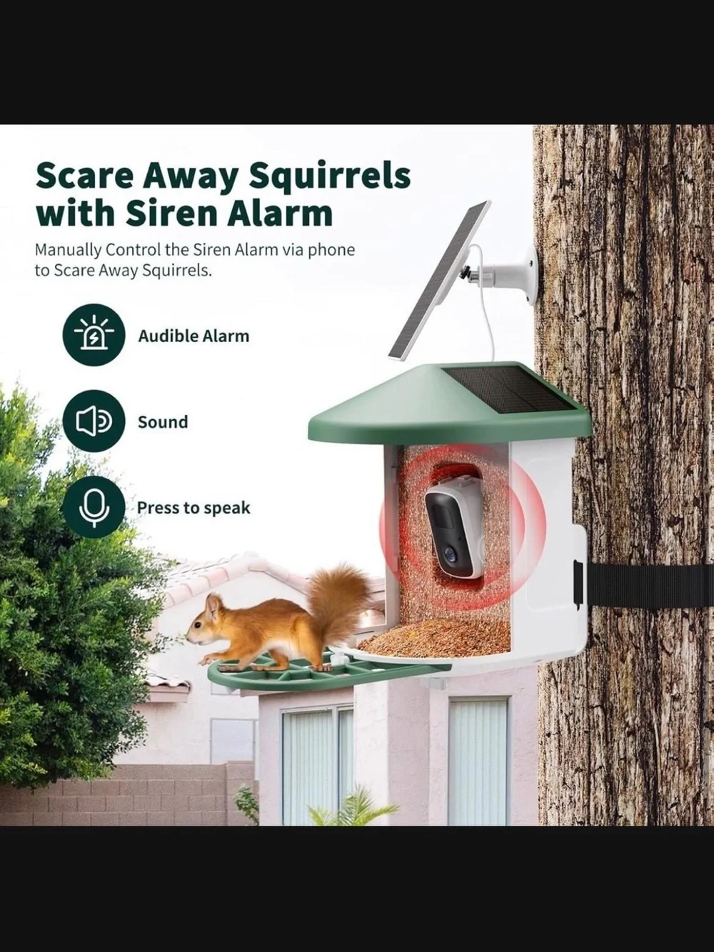 Haymor Green Solar Bird Feeder with Camera New In Box #M2859